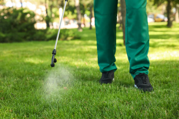 Best Residential Pest Control  in Greenfields, PA