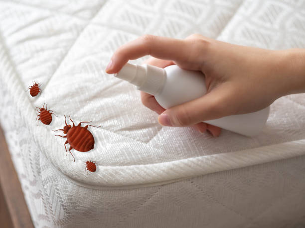 Best Emergency Pest Control  in Greenfields, PA